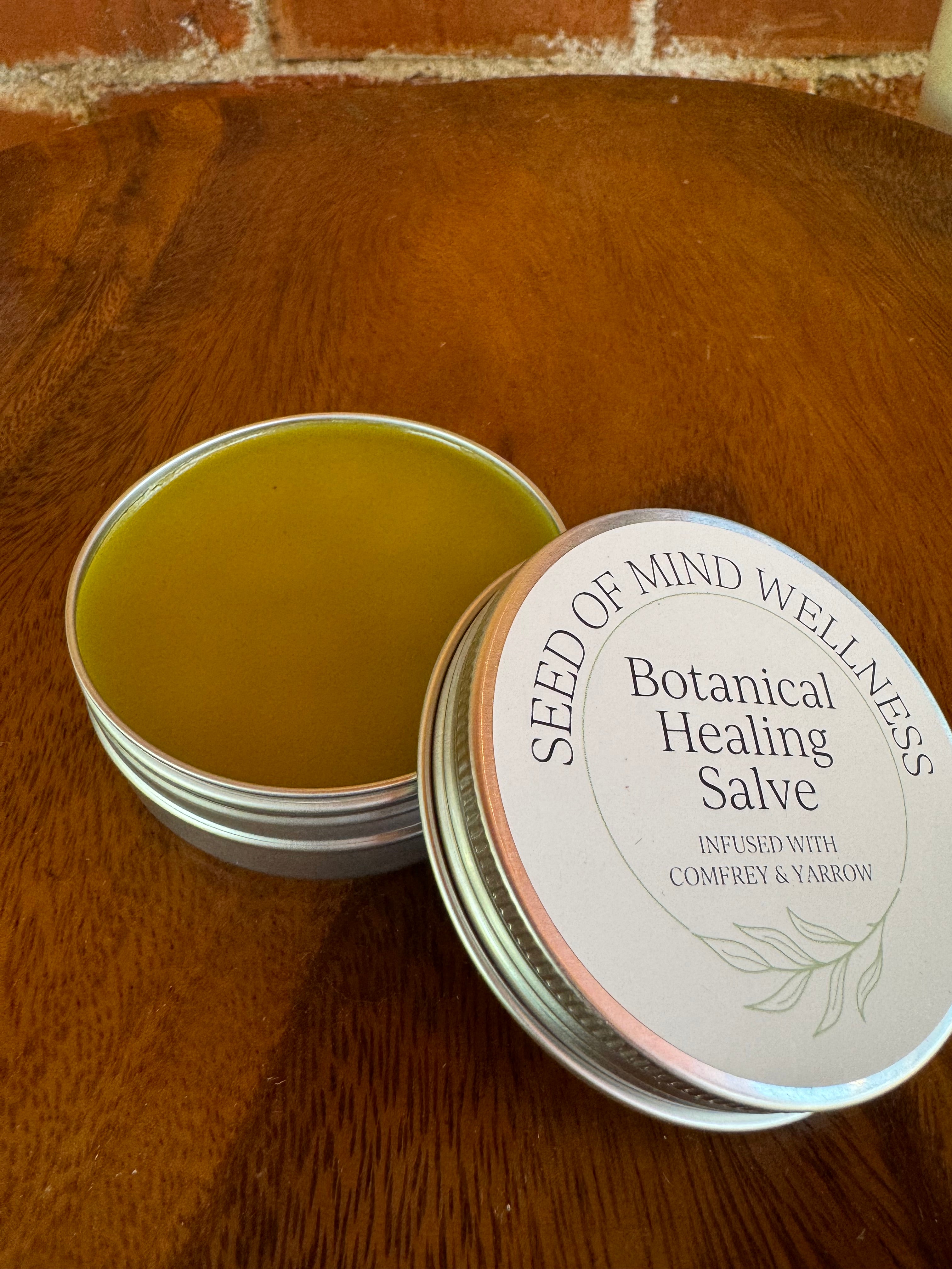 Healing Salve by Seed of Mind