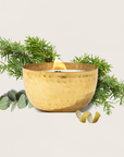 Juniper & Balsam Fir-Solid Brass 14oz Pure Soy Candle