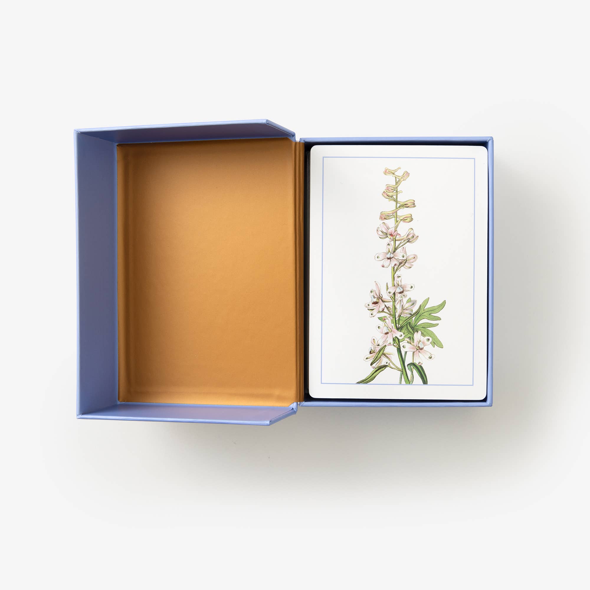 New York Botanical Garden Wildflower ID Flashcards