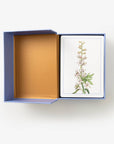 New York Botanical Garden Wildflower ID Flashcards