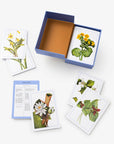 New York Botanical Garden Wildflower ID Flashcards