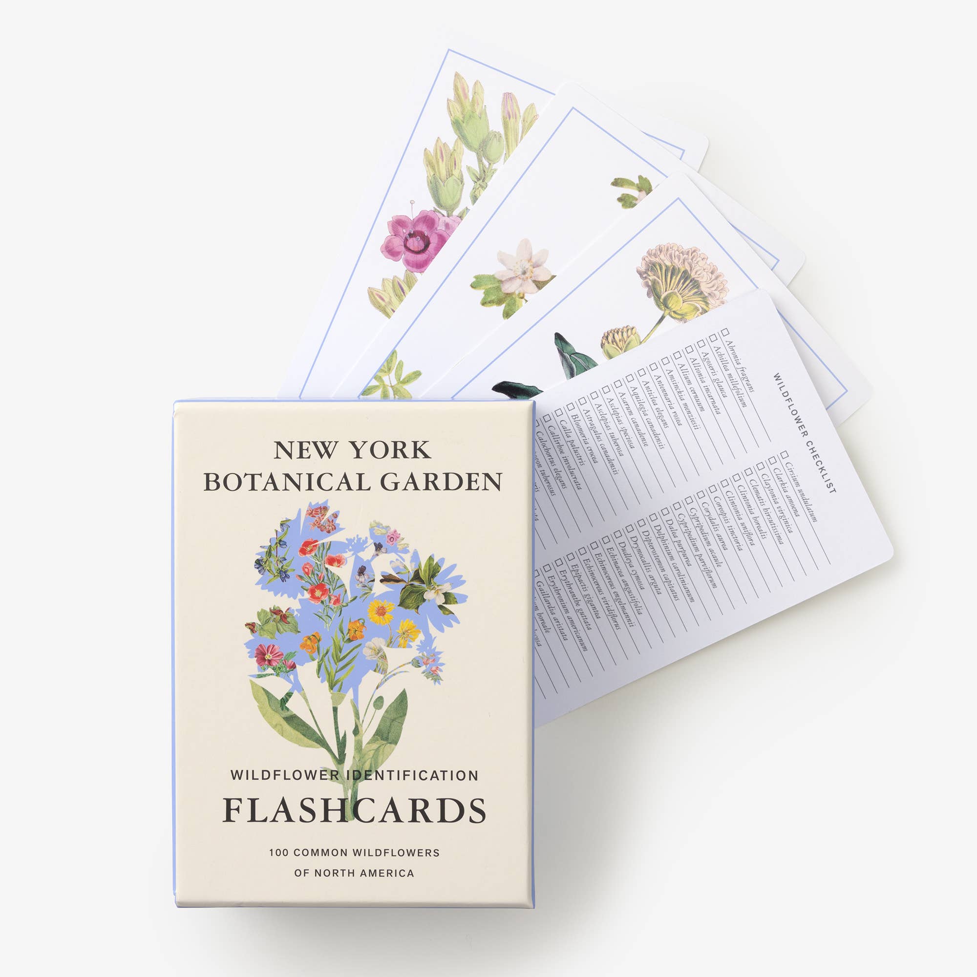 New York Botanical Garden Wildflower ID Flashcards