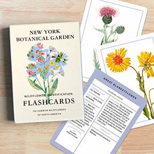 New York Botanical Garden Wildflower ID Flashcards