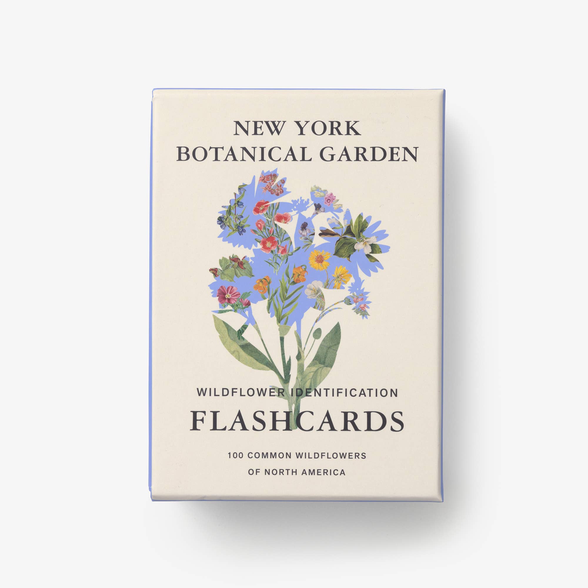 New York Botanical Garden Wildflower ID Flashcards