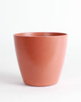 4" Decorative Biodegradable Pot for Plants: Orange