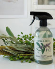 Natural Stainless Cleaner 16.9oz